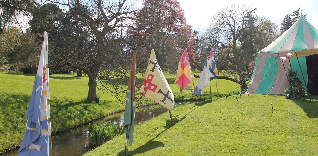 Flags along the river Image