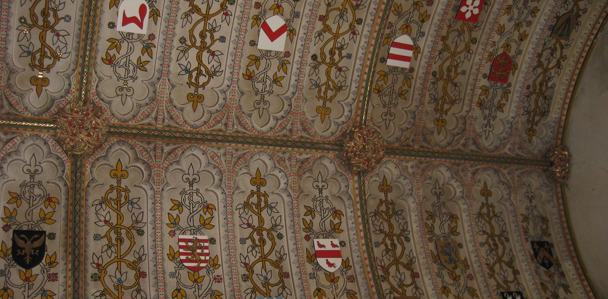 Shield ceiling Image