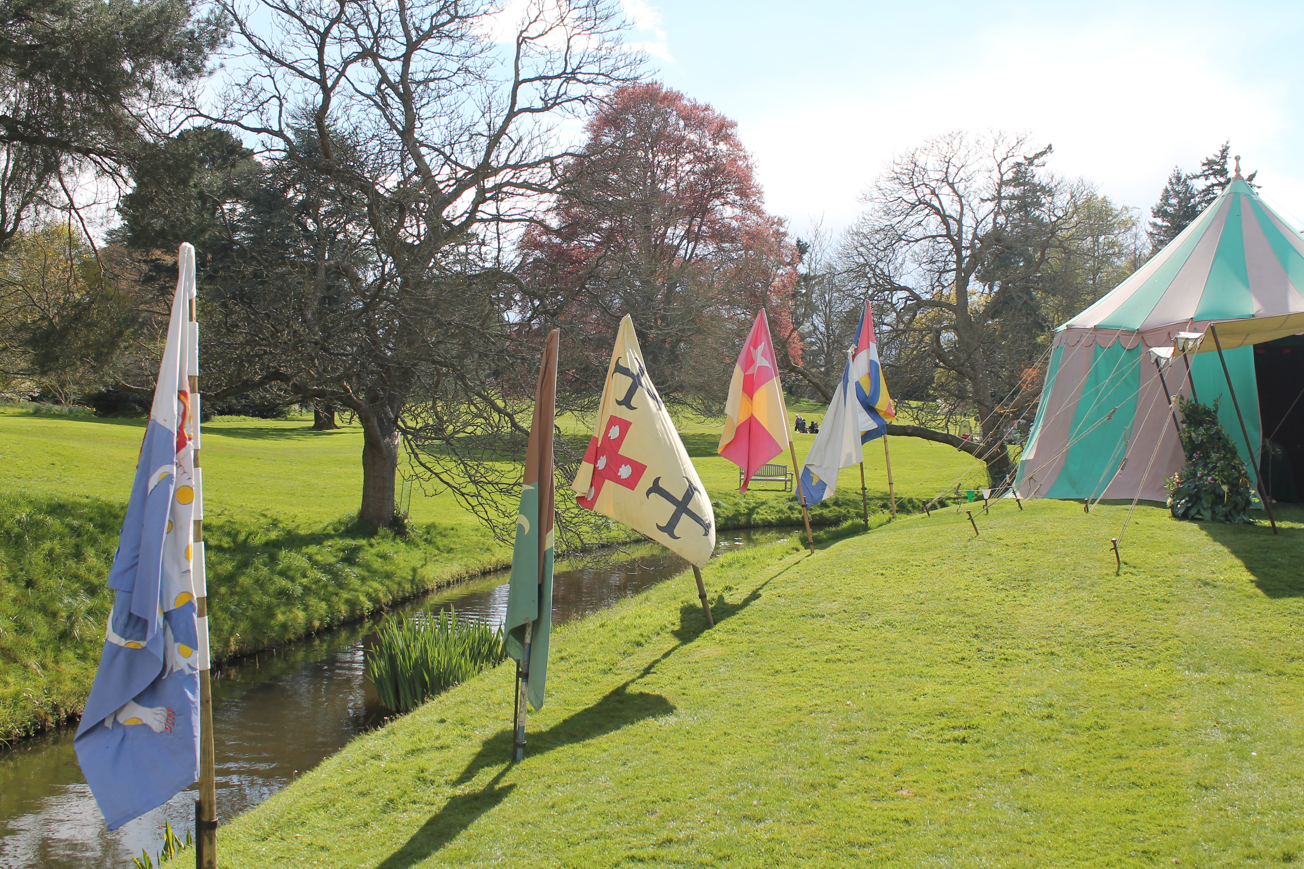 Flags along the river Image