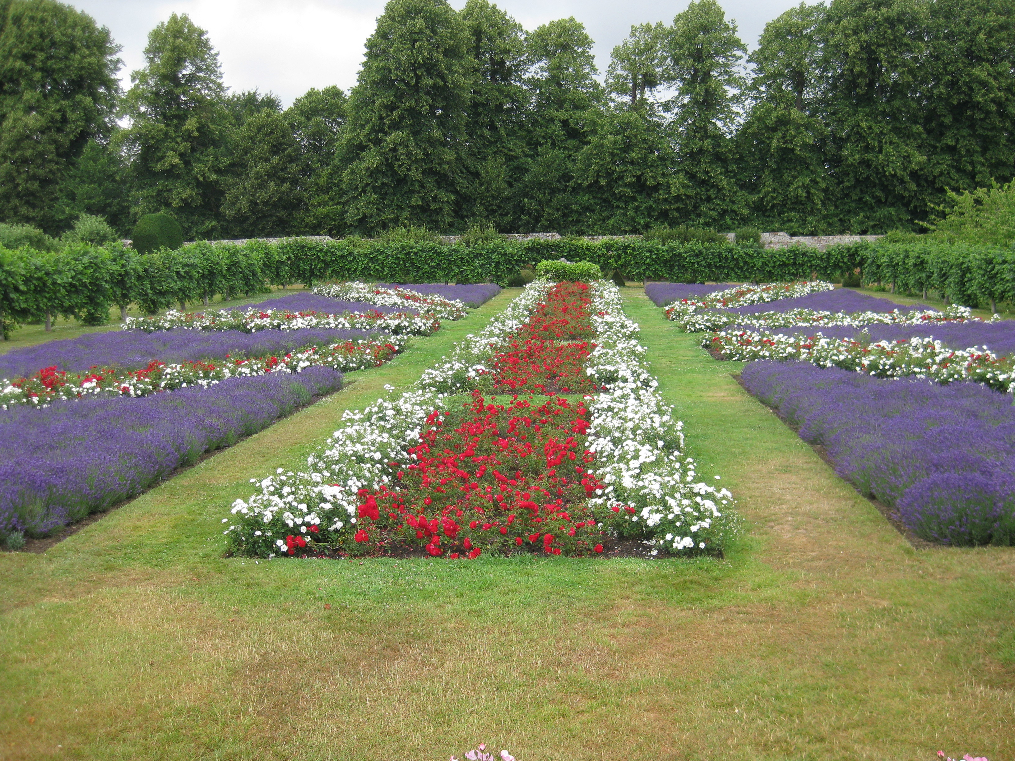 Union Jack garden Image