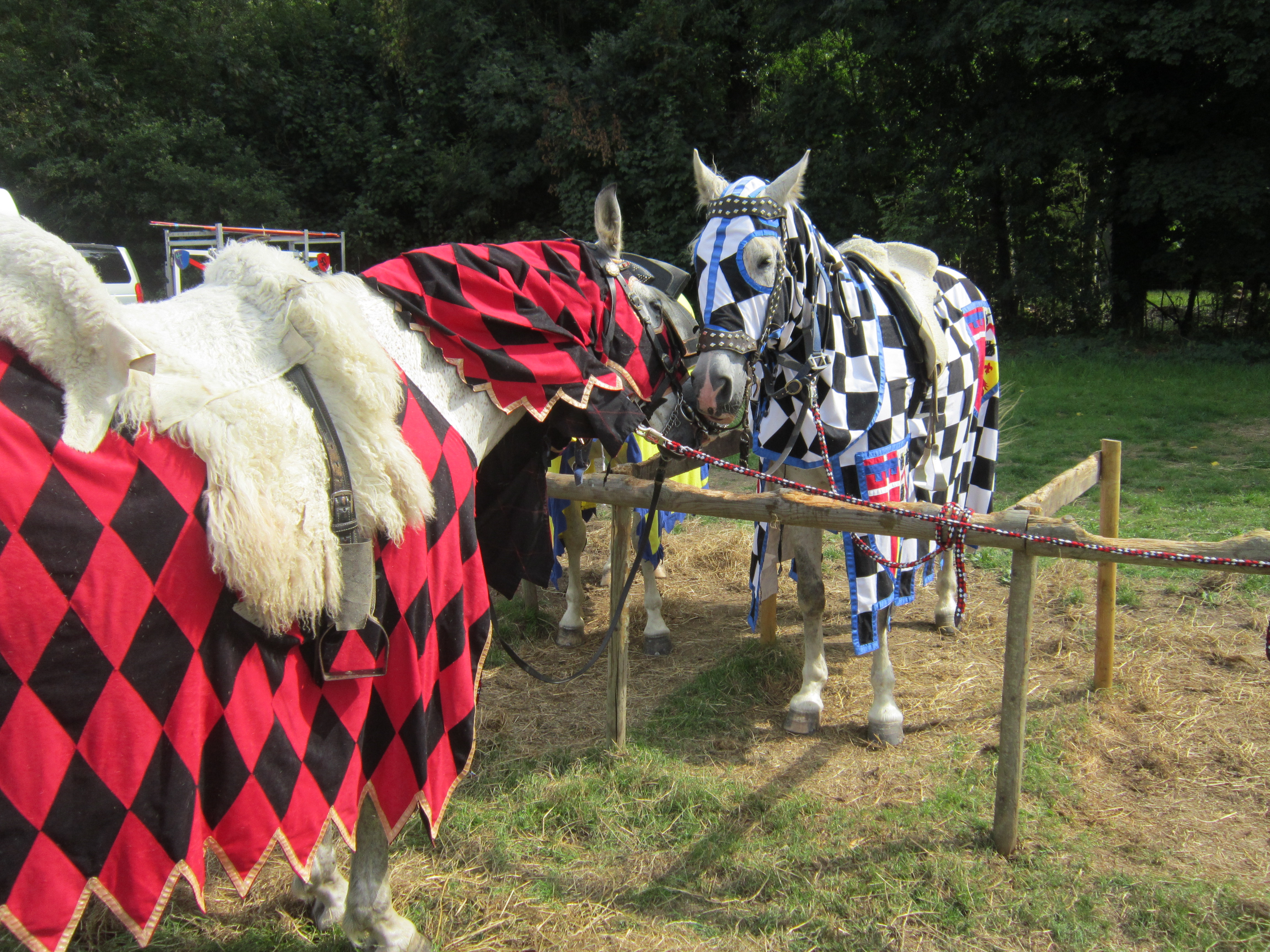Jousting horses Image